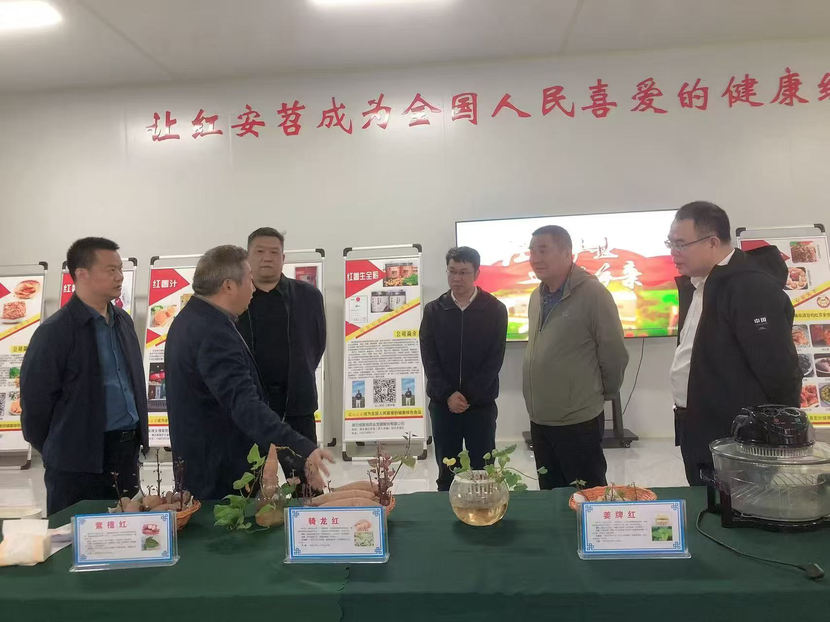 湖北省科學(xué)技術(shù)協(xié)會(huì) 驅(qū)動(dòng)新材料技術(shù)推廣，服務(wù)產(chǎn)業(yè)創(chuàng)新發(fā)展